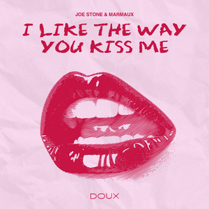 I Like The Way You Kiss Me