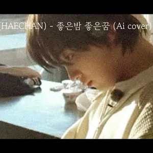 해찬(HAECHAN) - 좋은밤 좋은꿈 (Ai cover)
