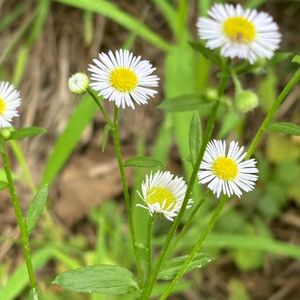 往昔苦难后的新征程