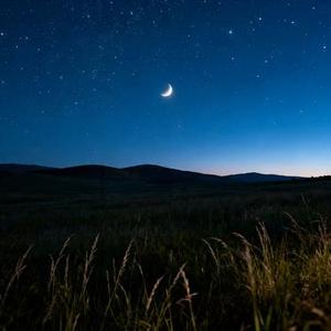 星月原野 (Cover 一颗狼星)