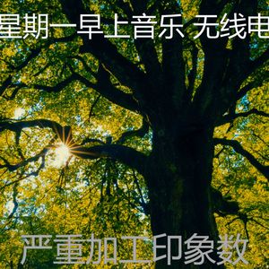 精彩办公室环境