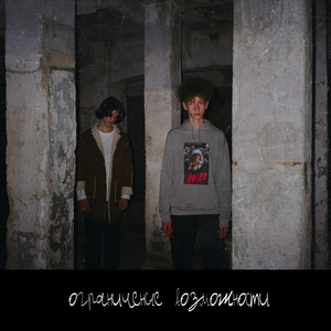 Ограниченные возможности