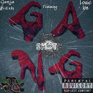 Gang Shit (feat. louie los)