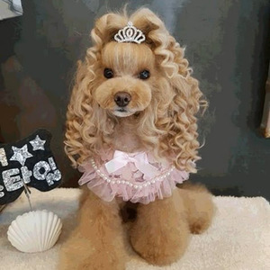 Don't Do That (slowed)