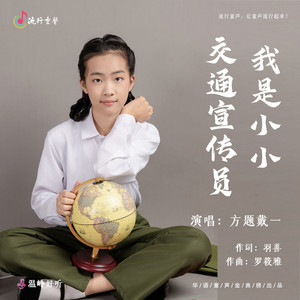 我是小小交通宣传员