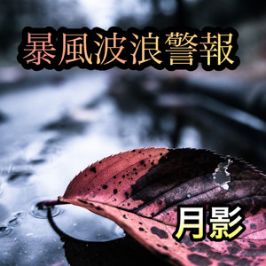 暴風波浪警報