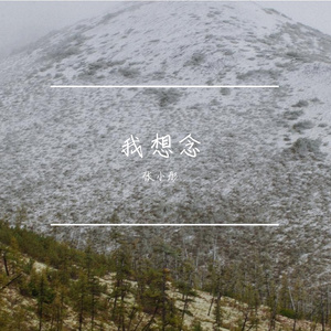 我想念那个不下雪的冬天