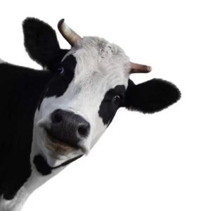 流れ行く云 (Nagareyuku Kumo)