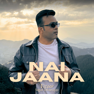 Nai Jaana