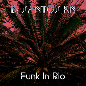 Funk In Rio Kompa (Jersey Tik-Tok Remix)