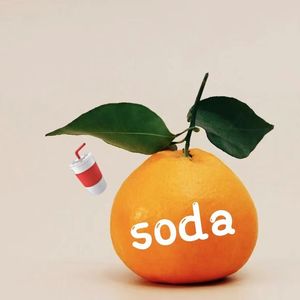 桔子汽水Prod.misogyny