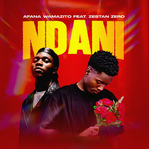 Ndani