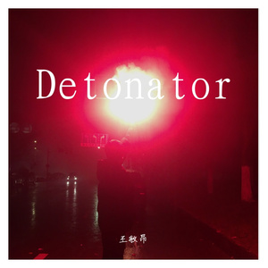 Detonator