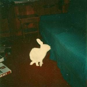 Keep me warm in your flayed arms as we float over clouds that keep shadow to a post apocalyptic city