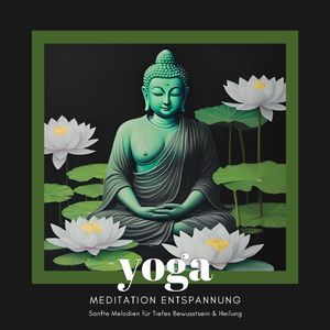 Die Symphonie der Grillen