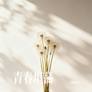 青春坦荡