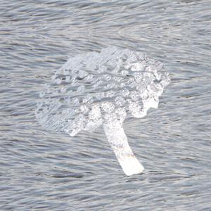 Dissolve (monad Remix)