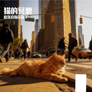 猫的冥想（Prod.空空壹）