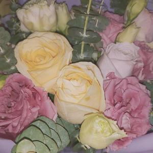 去看星星好不好