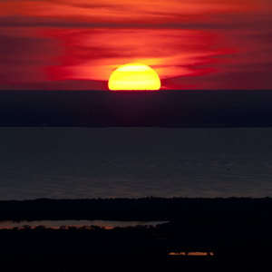 Remaining (feat. Young Taylor)