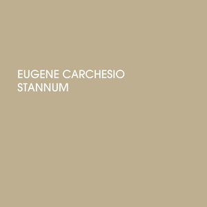 Stannum 8