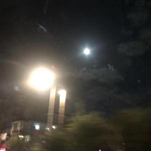 遇到你(Feat.Complex-Z)