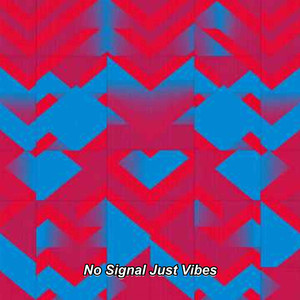 No Signal Just Vibes
