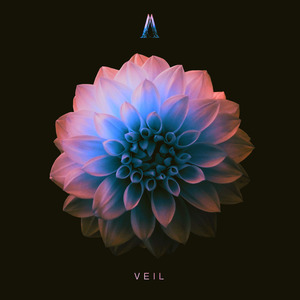 Veil