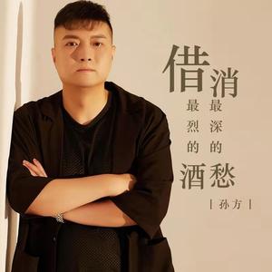 借最烈的酒消最深的愁 (伴奏)