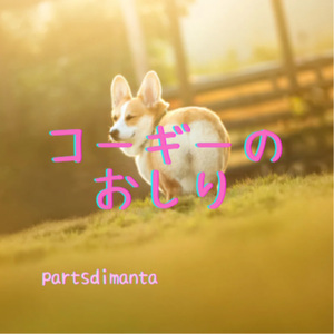 コーギーのおしり