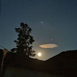 夏夜恋曲