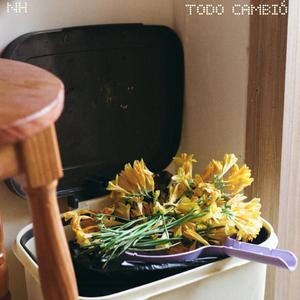 Todo Cambió