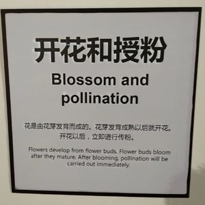 Fall in love with hiphop