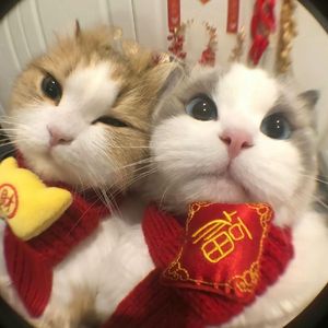 如果的事