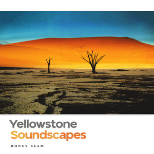 Spattering Woodland Rains