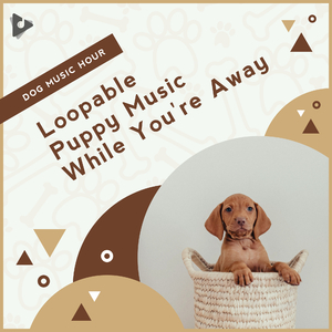 Best Piano for Dogs