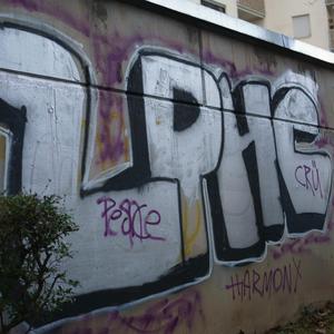Traumreise