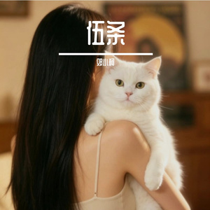 伍条