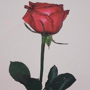 不就是孤独（prod by Red killer）