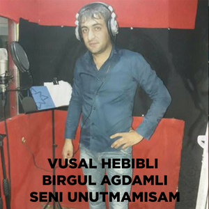 Seni Unutmamisam