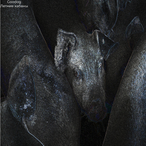 Картофельный аскетизм