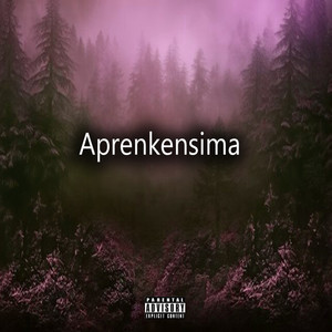 Aprenkensima