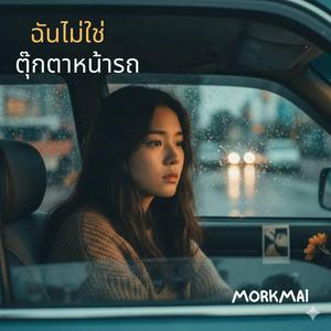 ฉันไม่ใช่ตุ๊กตาหน้ารถ
