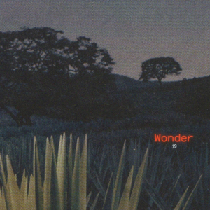 Wonder