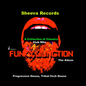 Voices 2000 (Funky Junction & Funk Heads Re-work edit)