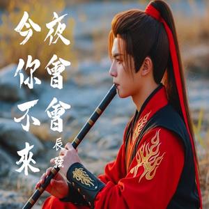 我会用心爱着你