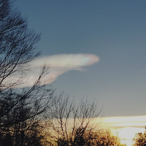 La mia squadra (Demo)