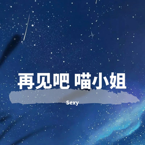 再见吧，喵小姐