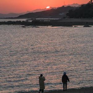 夏天，我想和你一起看海
