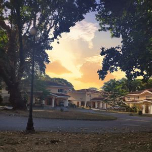 预言书live（cover：张敬轩）